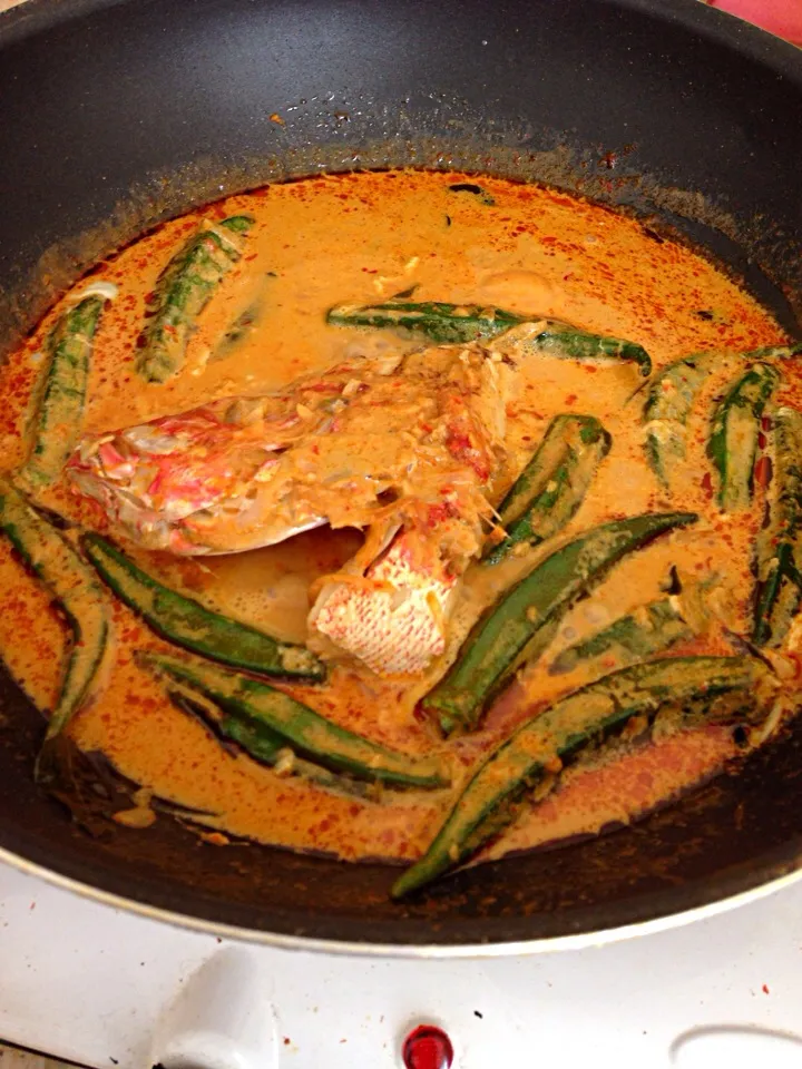 Red Snapper curry|noorabitaさん