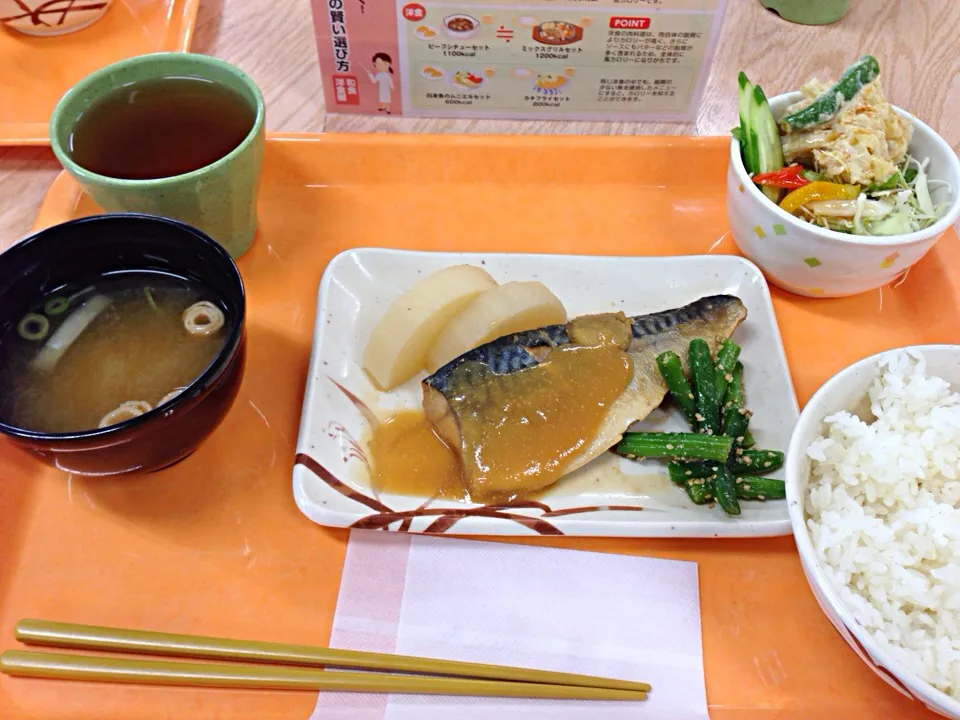 Snapdishの料理写真:鯖の味噌煮(^○^)|すかラインさん