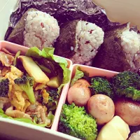 ピクニック用❤️いつかのお弁当❤️|Emily0705さん