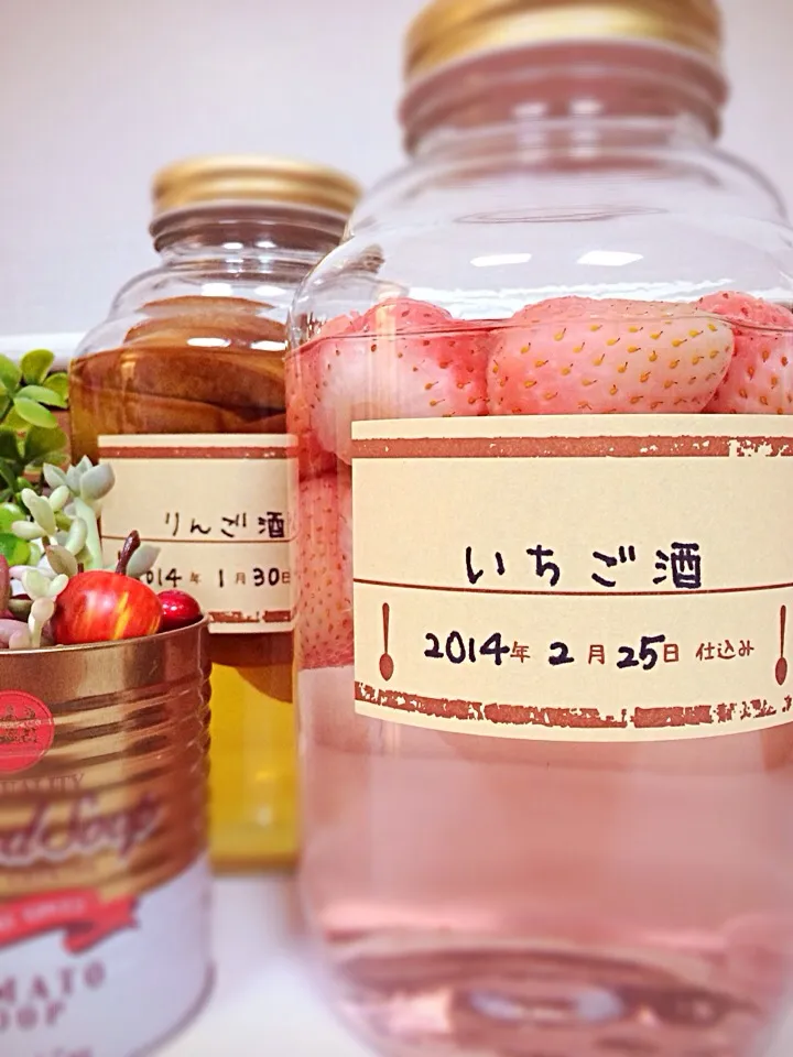 いちご酒🍓りんご酒🍎解禁は3ヶ月後꒰ღ˘◡˘ற꒱✨|toccaさん