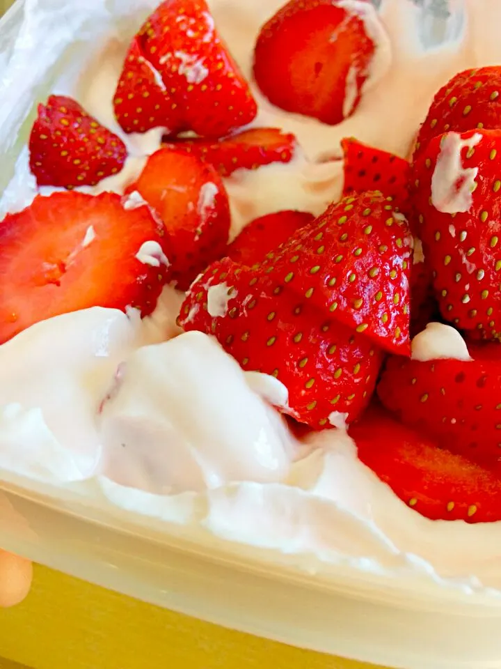 Strawberry in Greek Yoghurt|Rachelle CGさん