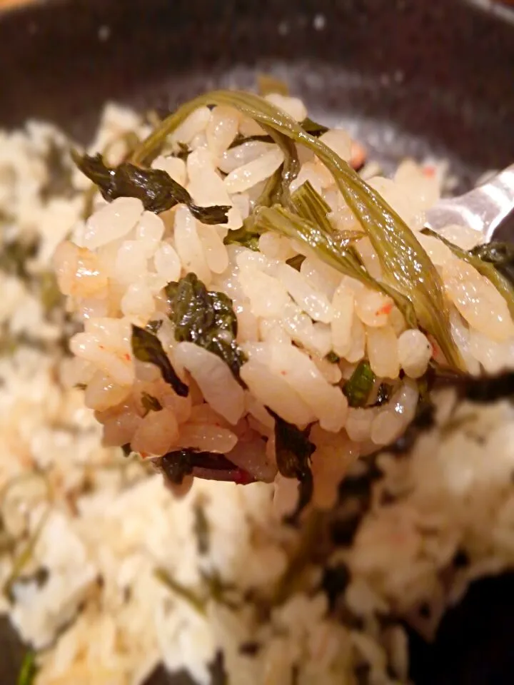 healthy food ! drunken vegetables rice 곤드레나물밥|Yumiさん