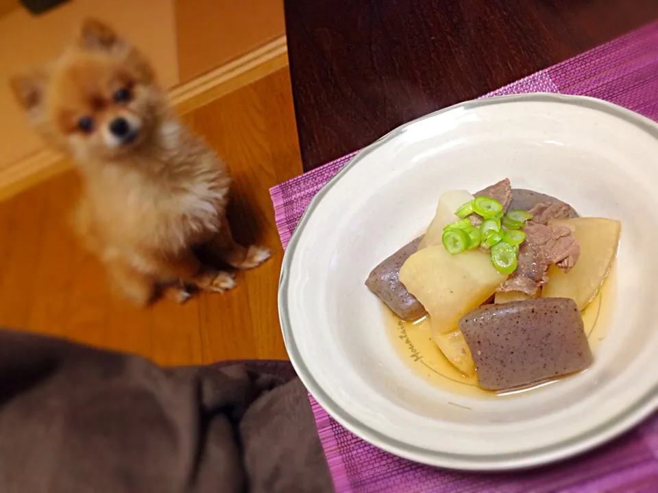 牛すじ大根と玉コンニャクの煮込み|鍋島さん