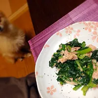 ほうれん草とツナのマヨポン酢|鍋島さん