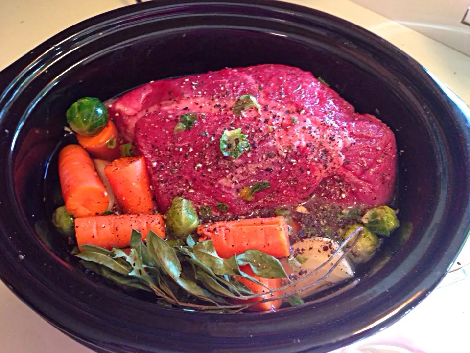 Snapdishの料理写真:Pot roast with Brussels sprouts, carrots, onions and fresh Long Island bay leaves|bertocci infernoさん