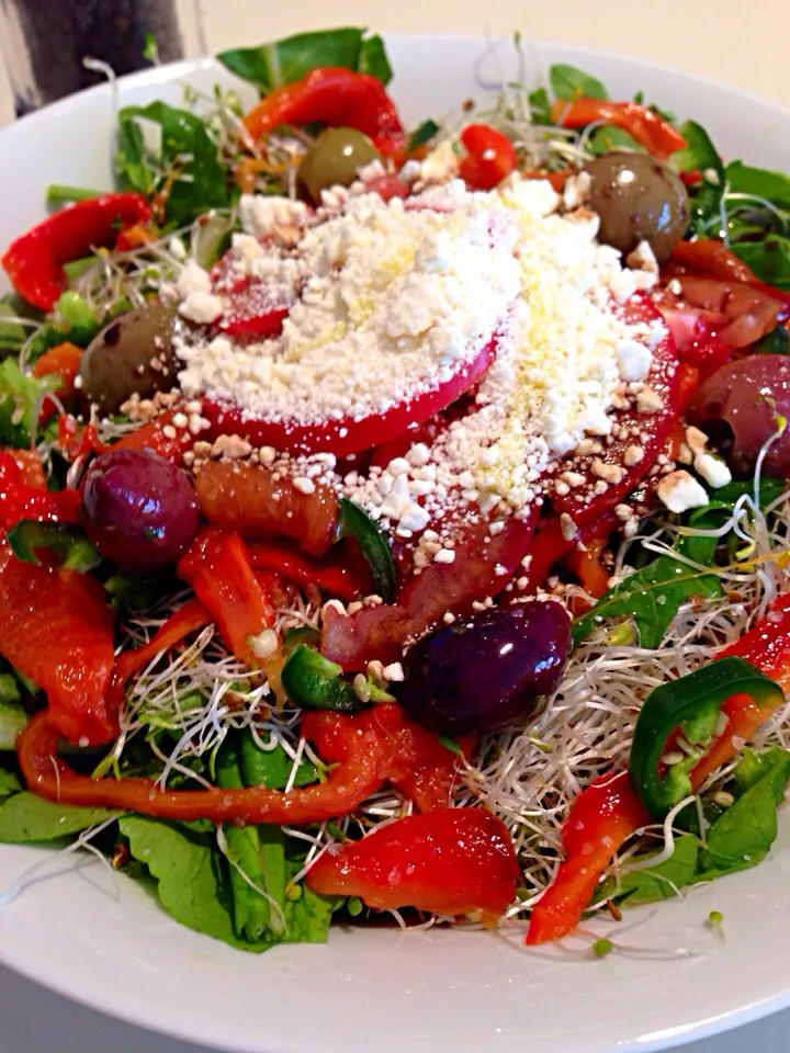 Hot Roman- arugula, dandelion, roasted red peppers, sliced jalapeño, garlic marinated olives, alfalfa sprouts, tomatoes and feta cheese with EVOO & balsamic|bertocci infernoさん