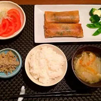 Snapdishの料理写真:春巻き|aichiさん