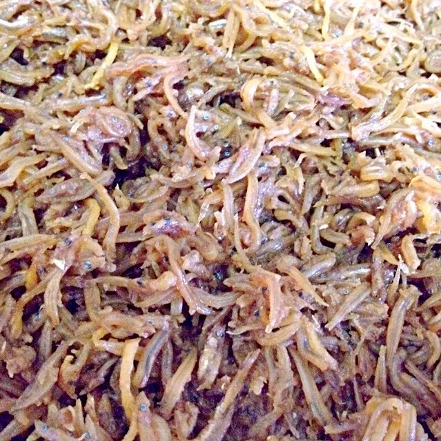 いかなごのくぎ煮|舐め子さん