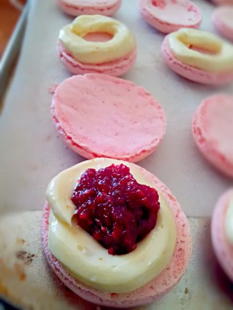 White chocolate cranberry macarons|Slinkyさん