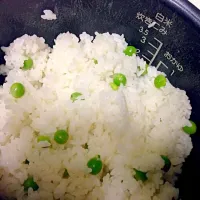 Snapdishの料理写真:豆ごはん|ちぶさん