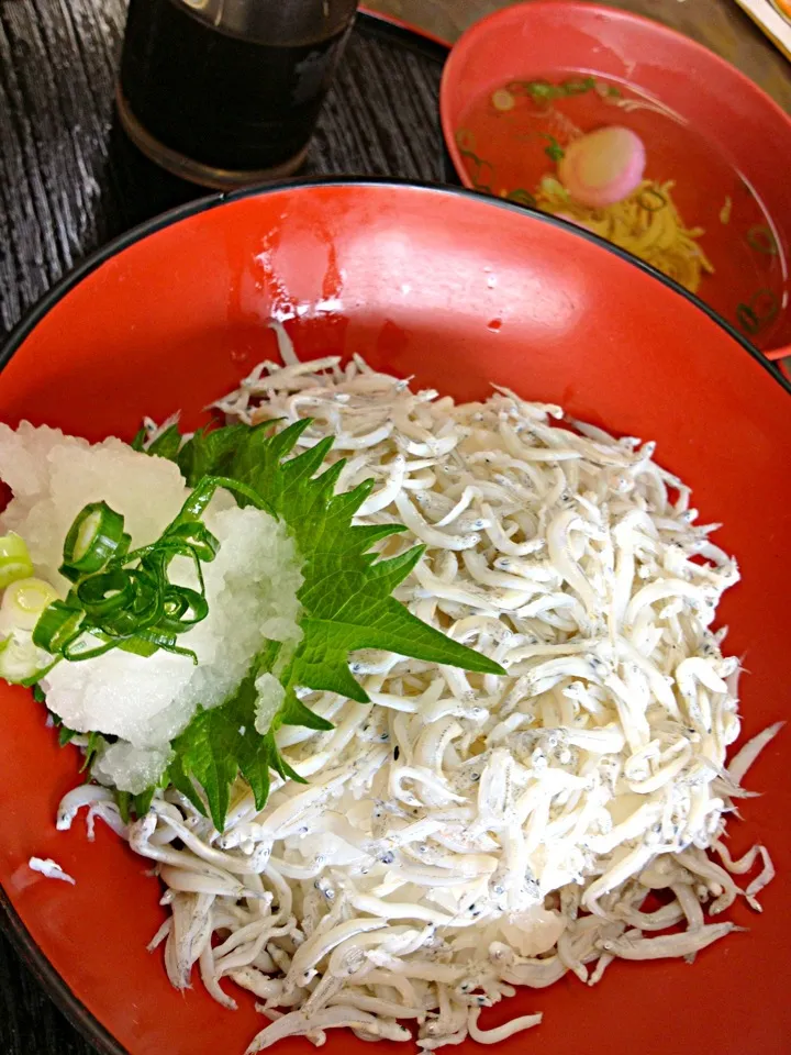 ちりめん丼、高知が名産(^ ^)|ハルさん