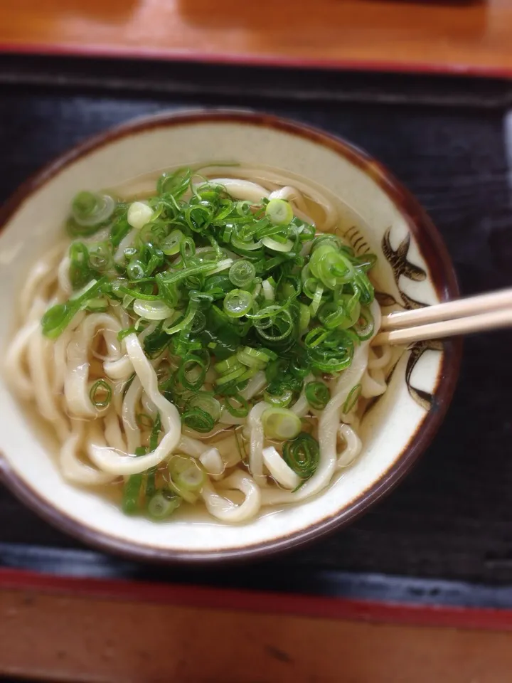 香川県本場の讃岐うどん|はやあやままさん