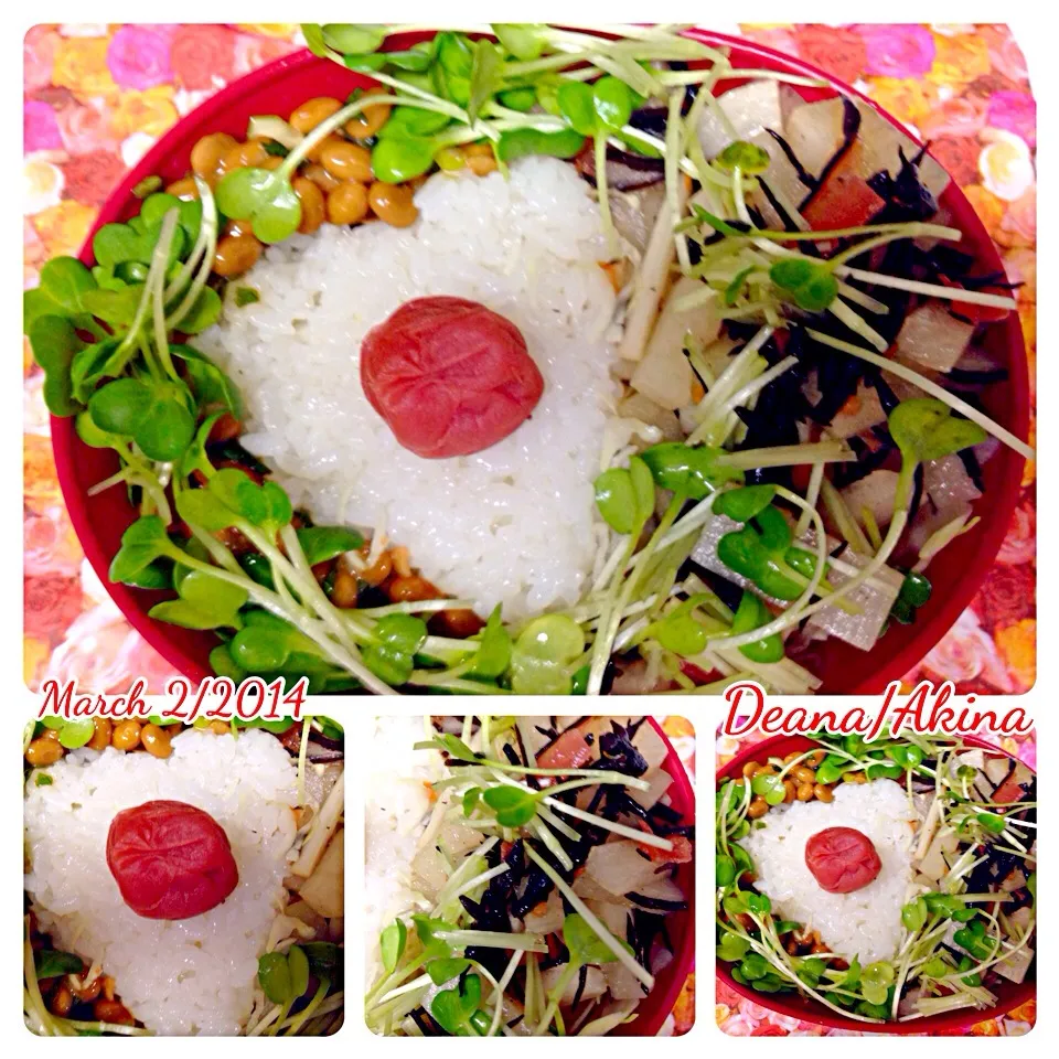 Snapdishの料理写真:Natto, Umeboshi Obentou ... Late Lunch|Deana/Akinaさん