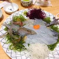 Snapdishの料理写真:イカの活き造り|ARAP DISHさん