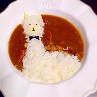 Snapdishの料理写真:アルパカカレー|立崎亨さん