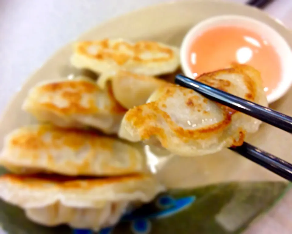 Potstickers|Natashaさん