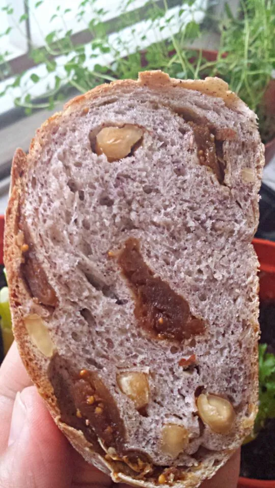 Snapdishの料理写真:Almond and figs bread|Joyceさん