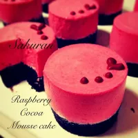 ＊Raspberry mousse cake＊