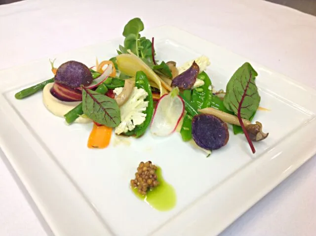 Salad of Caramelized Spring Vegetables Mache, Mustard Caviar, Purple Potato Chip|Chef_RLさん