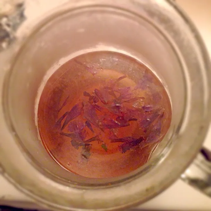 Borage flower tea for sleep|ali kamenovaさん