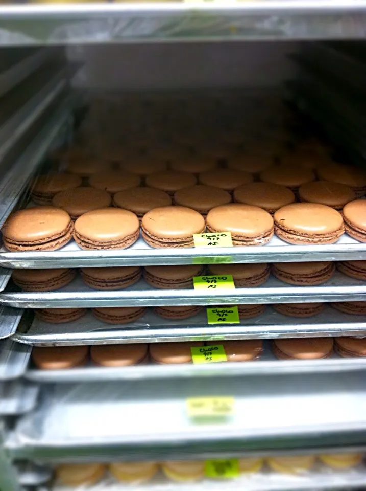 Macaroons bouchon bakery|jess zimanさん