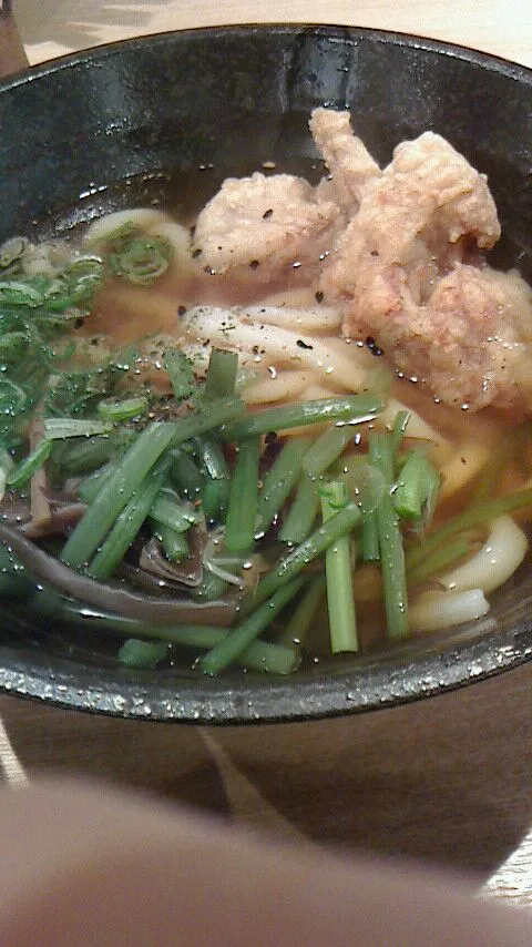 Snapdishの料理写真:とり天山菜うどん|hisashiさん