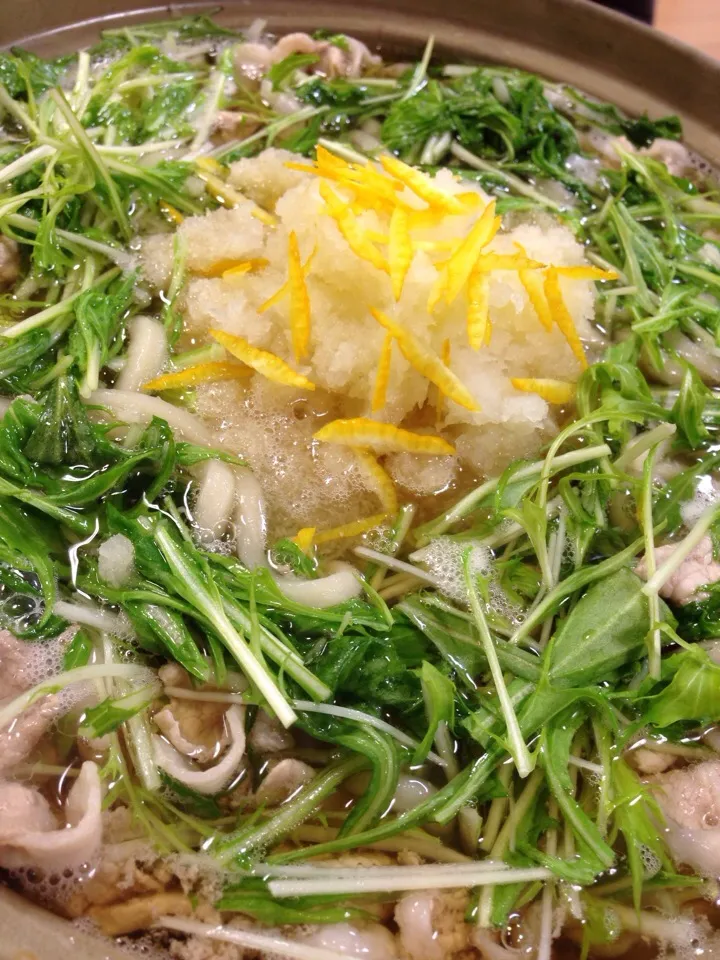 Snapdishの料理写真:豚肉と水菜のみぞれうどん鍋✩⃛|＊Haruna＊さん