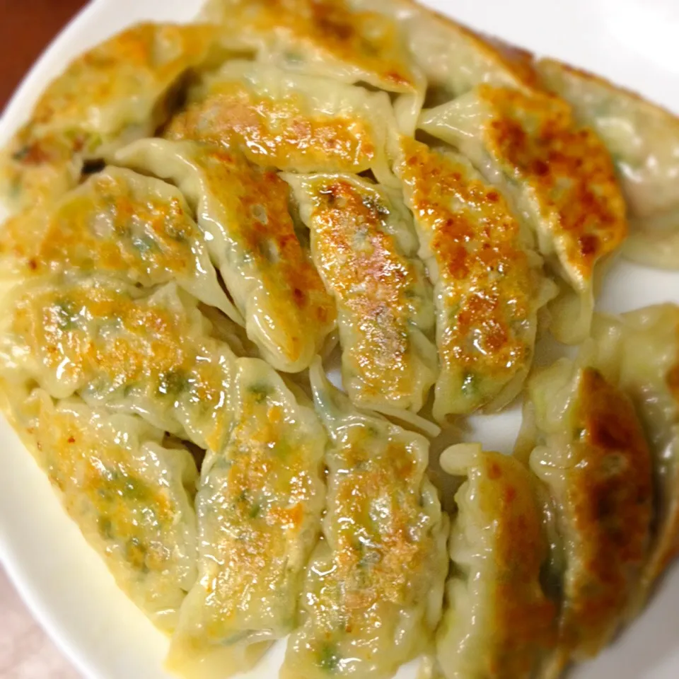 Pan fried pot stickers / dumplings 焼き餃子|Mama Kathi Dinerさん