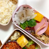 Snapdishの料理写真:毎日弁当|Tae Takakiさん