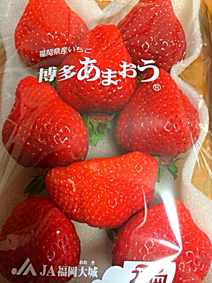 あまおう|山上直哉さん