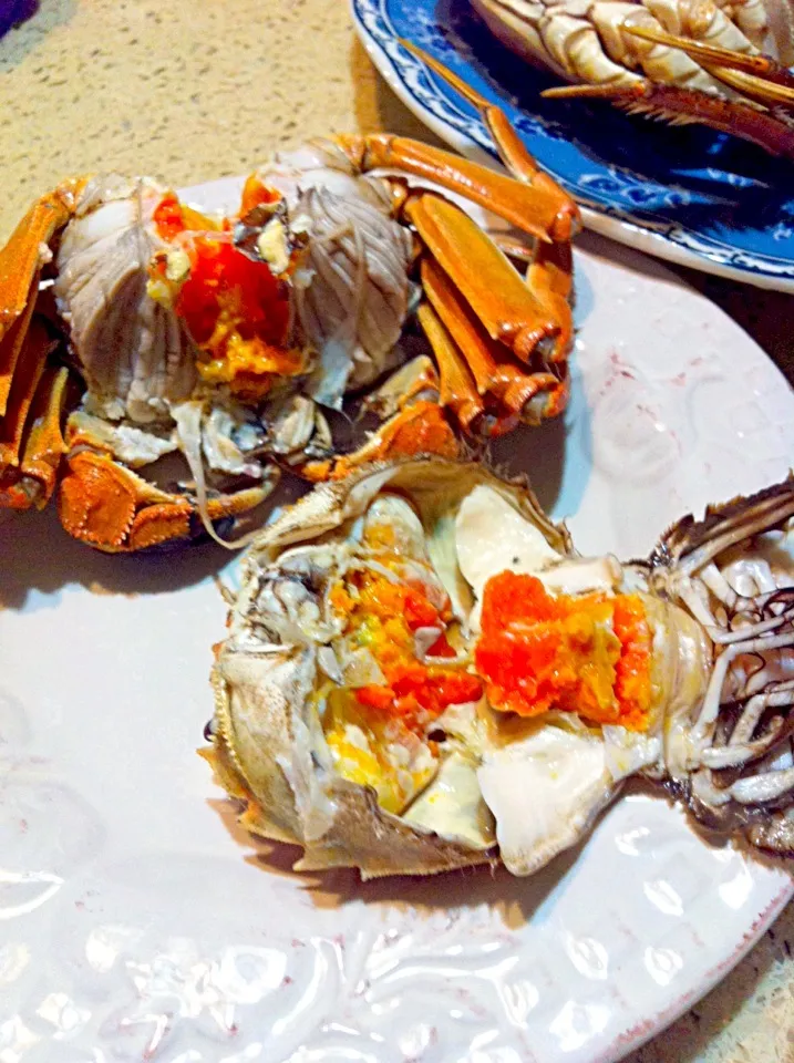yummy|mayszyさん