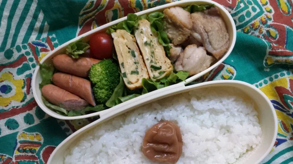 Snapdishの料理写真:鶏肉と卵焼きのお弁当|スマーフさん