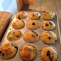 Homemade blue berry muffins :P|lalitaさん