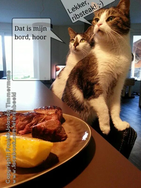 Snapdishの料理写真:Ribsteak, turnips and onion
(and two very interested cats)|Frank&Jolanda - Eteninbeeldさん