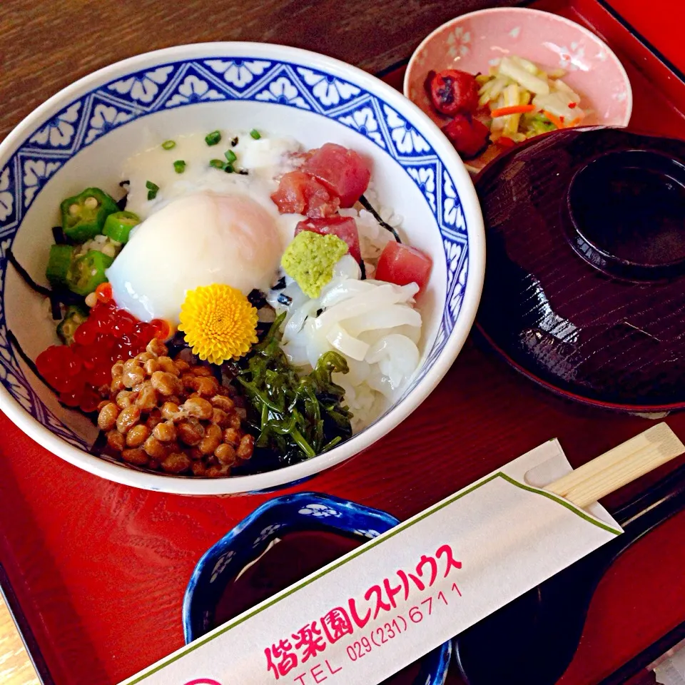 水戸納豆ねばねば丼♪|カナ☆デップさん