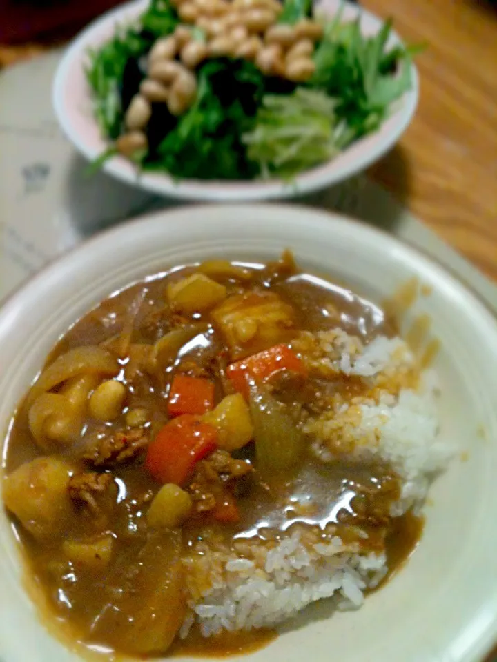 Snapdishの料理写真:3/6 スペシャルカレー，豆とひじきと水菜のサラダ|kykyさん