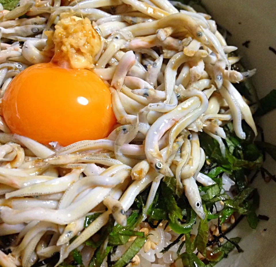 いかなごの釜揚げ丼|まちこさん