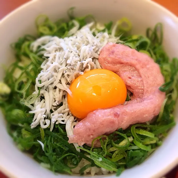 しらすネギトロ丼|☆よーこ☆さん