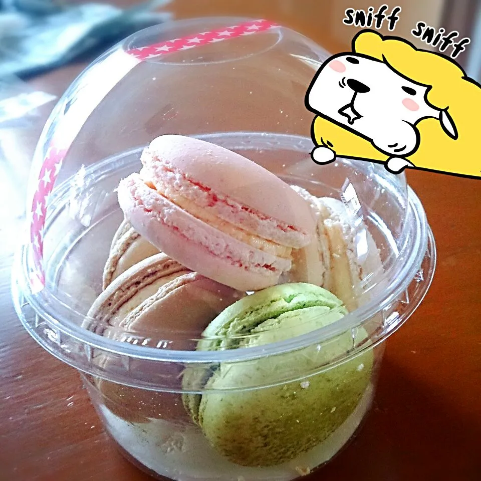 Macaron ~|pimonpakさん