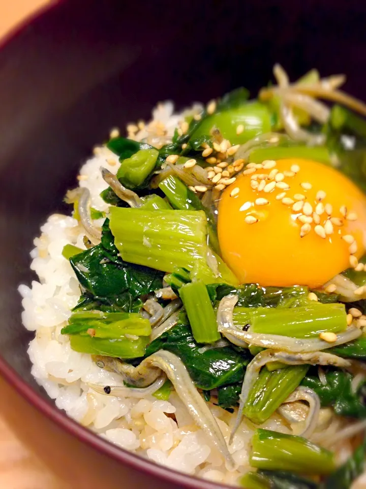 発芽玄米で青菜おじゃこ丼|ユキさん