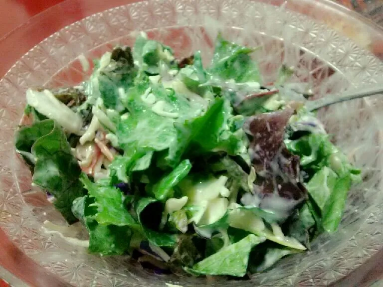 green salad|rizaldy rodriguezさん