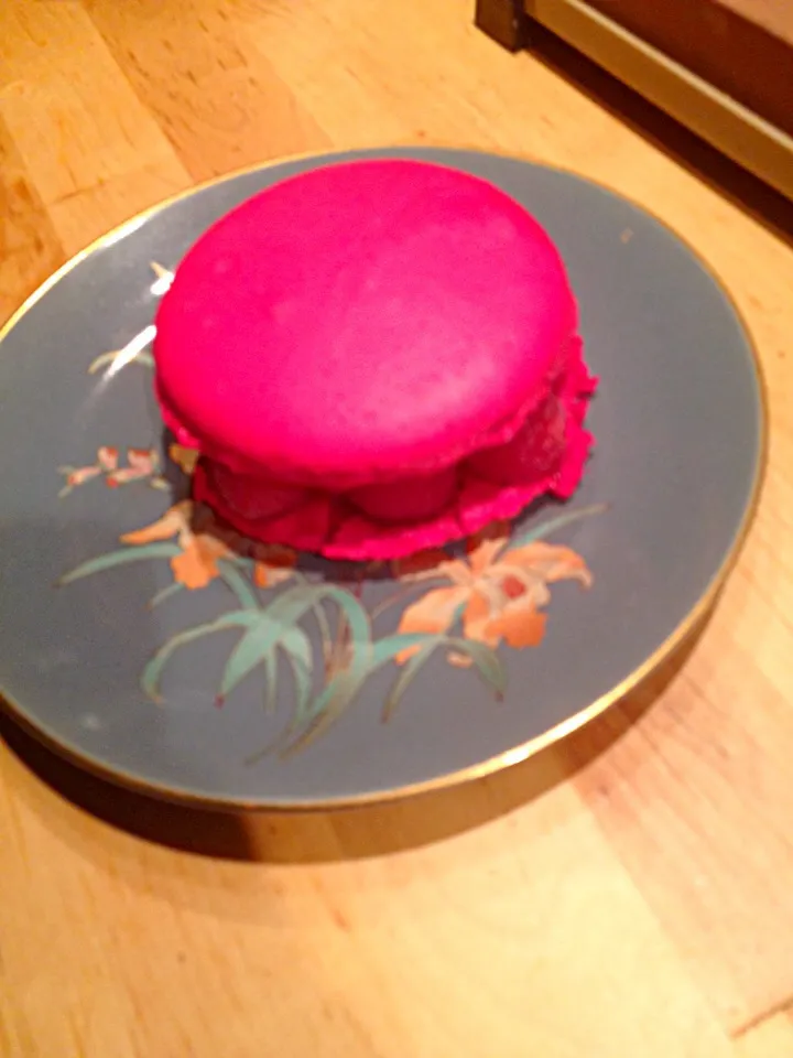 Raspberry macaron|Generaalさん