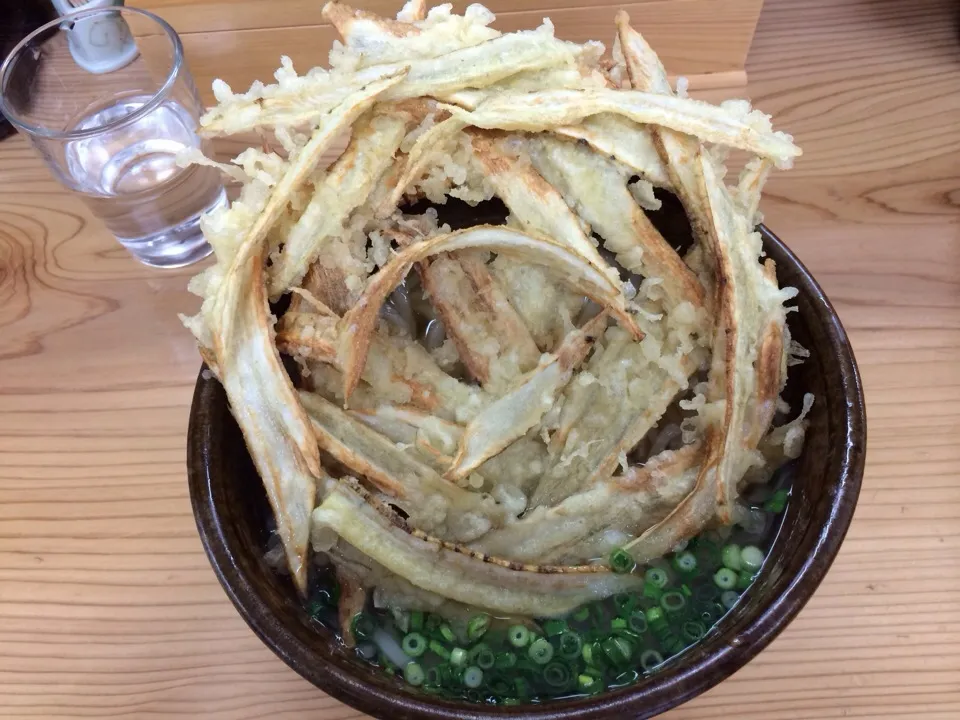 Snapdishの料理写真:ごぼ天うどん|ま～み～む～め～も～さん