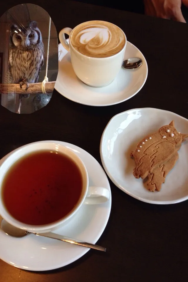 ビスケット と セイロンティー と カフェラテ|こいちさん