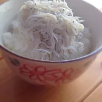 しらす丼|ワタルさん