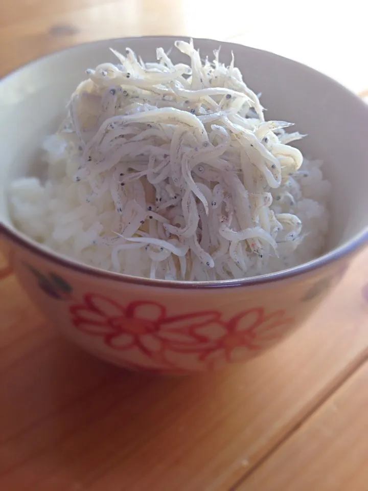 Snapdishの料理写真:しらす丼|ワタルさん