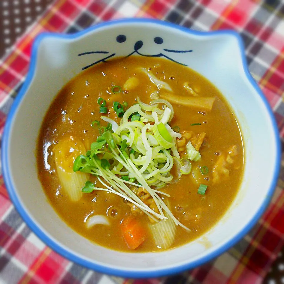 Snapdishの料理写真:残り物でカレーうどん|Ｙｕｋｉ♡さん