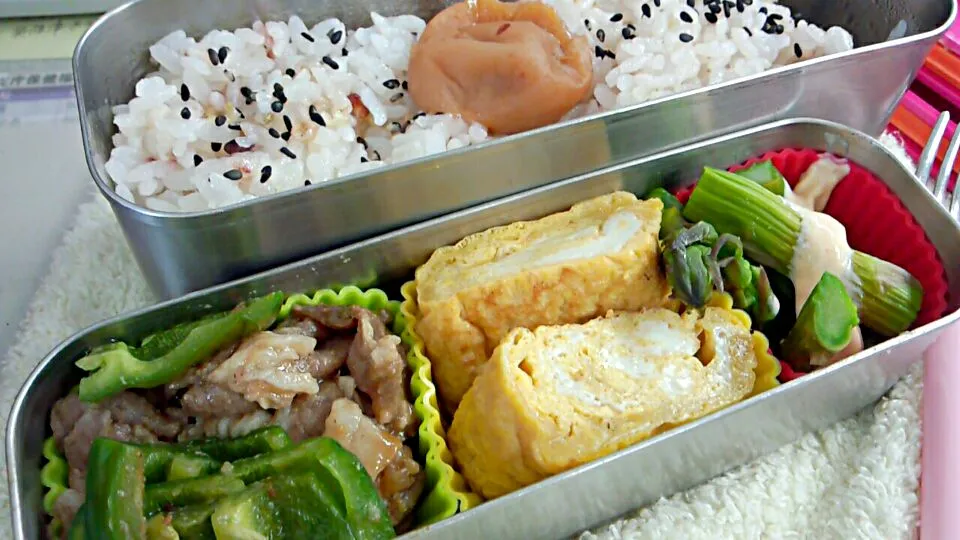 今日のお弁当★|かおりんさん