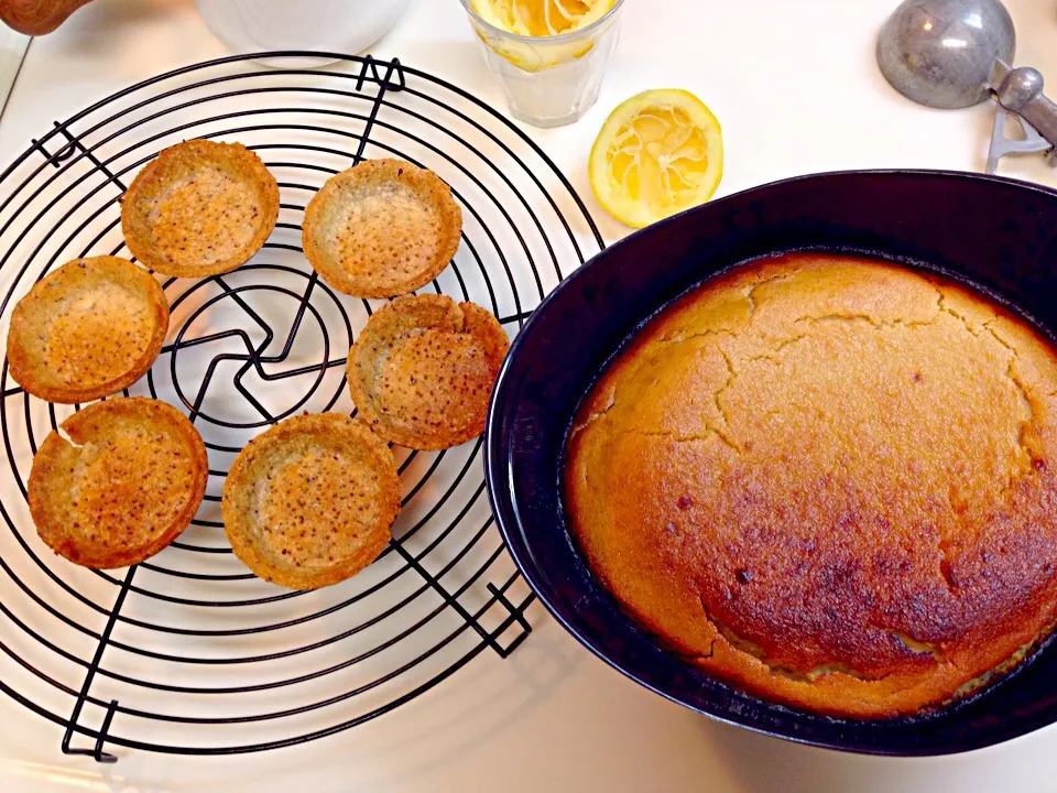 BAKED TOFU Cheese Cake|Yuki Masukoさん