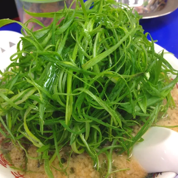 Snapdishの料理写真:ネギラーメン！これ、葱油がかかってておいし〜ねん。
あと、夏限定のキムチチャーハンと餃子。
キムチチャーハンじゃなくてよかったな。これは。|だこちんさん